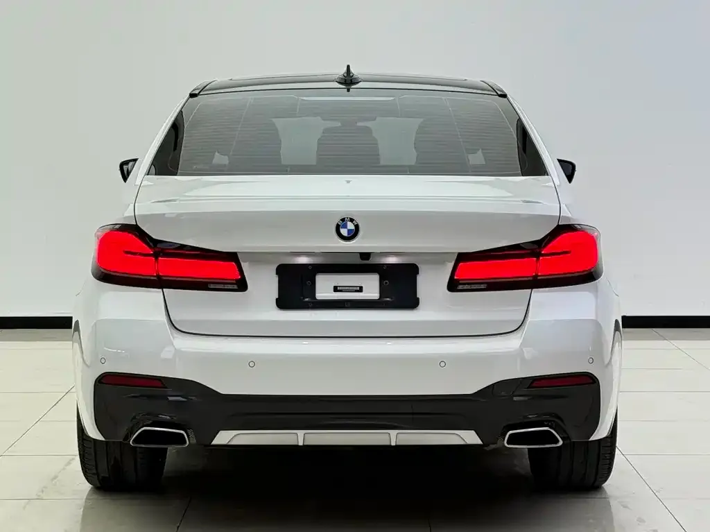 BMW 5 Series 2021 из CN, фото 2