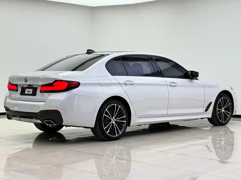 BMW 5 Series 2021 из CN, фото 3