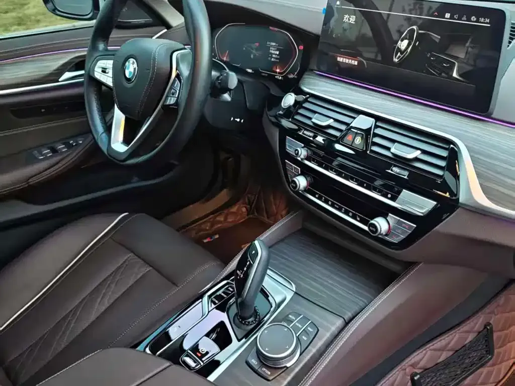 BMW 5 Series 2022 из CN, фото 6