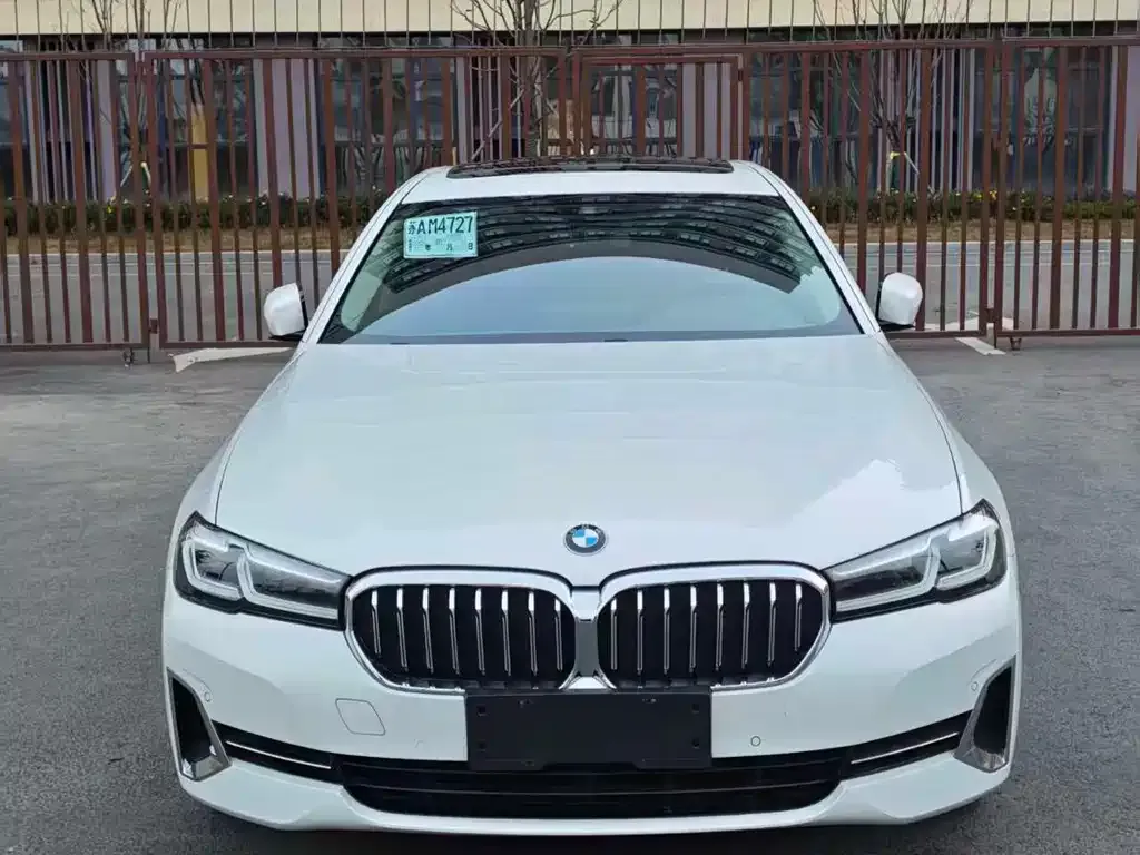 BMW 5 Series 2022 из CN, фото 2