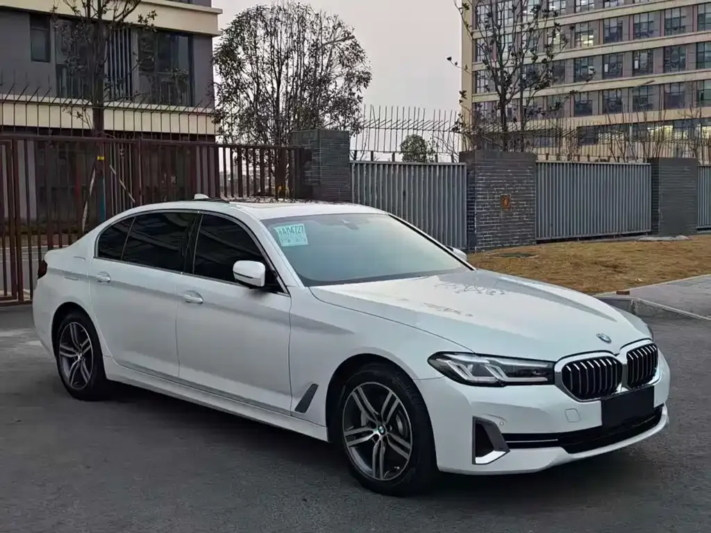 BMW 5 Series 2022 из CN, фото 8