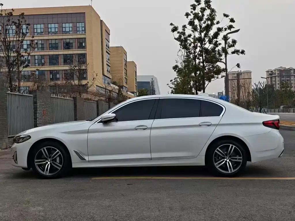 BMW 5 Series 2022 из CN, фото 5