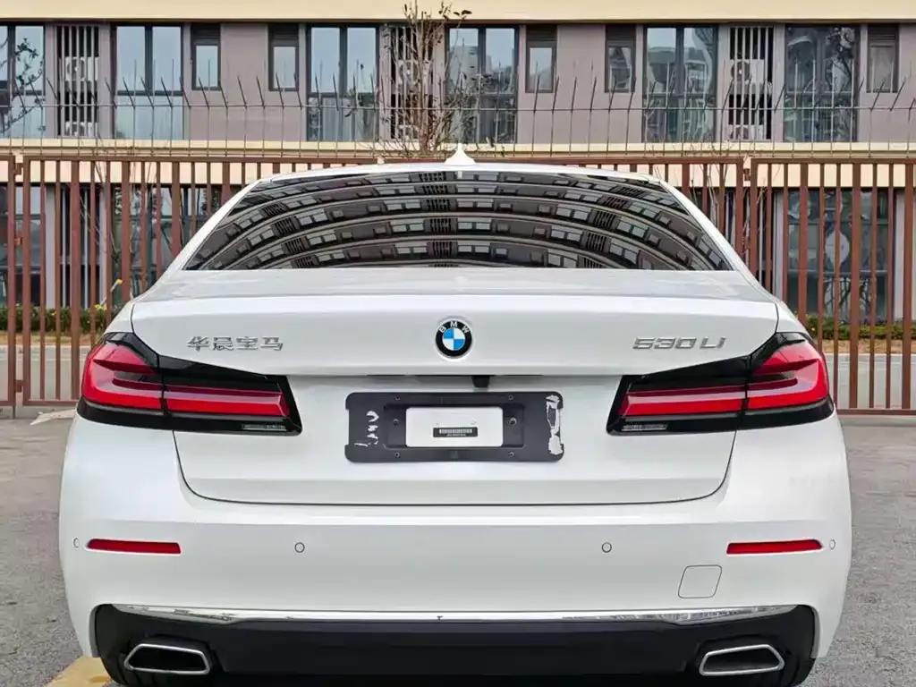 BMW 5 Series 2022 из CN, фото 4
