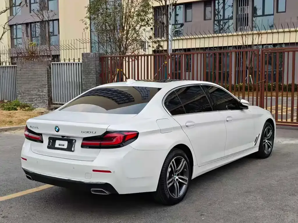 BMW 5 Series 2022 из CN, фото 10