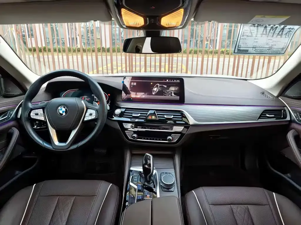 BMW 5 Series 2022 из CN, фото 9