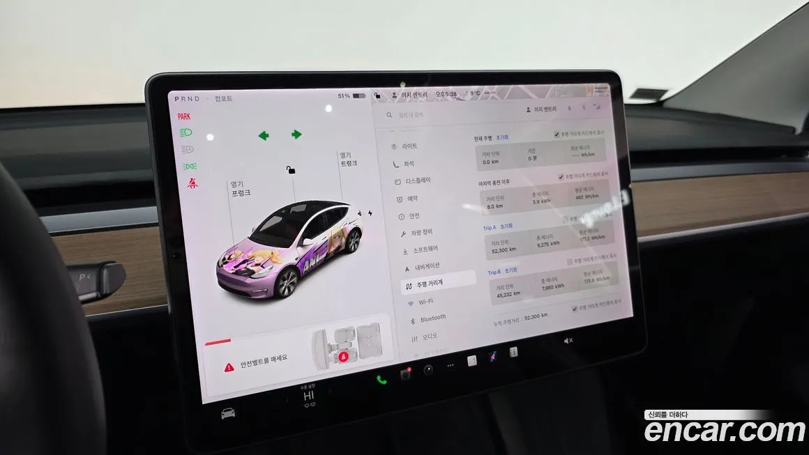 Tesla Model Y 2021 из KR, фото 3