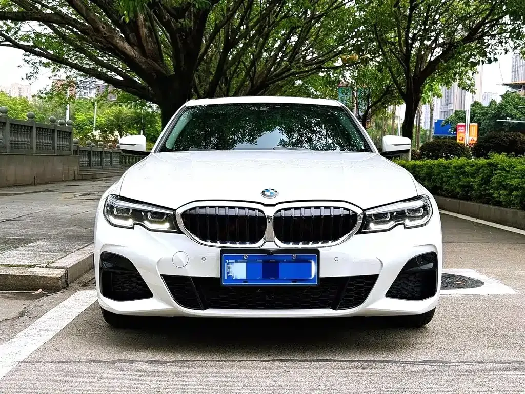 BMW 3 Series 2022 из CN, фото 8