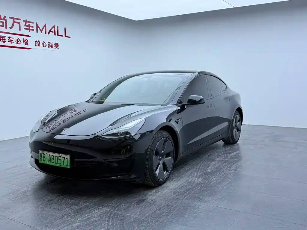 Tesla Model 3 2021 из CN, фото 1