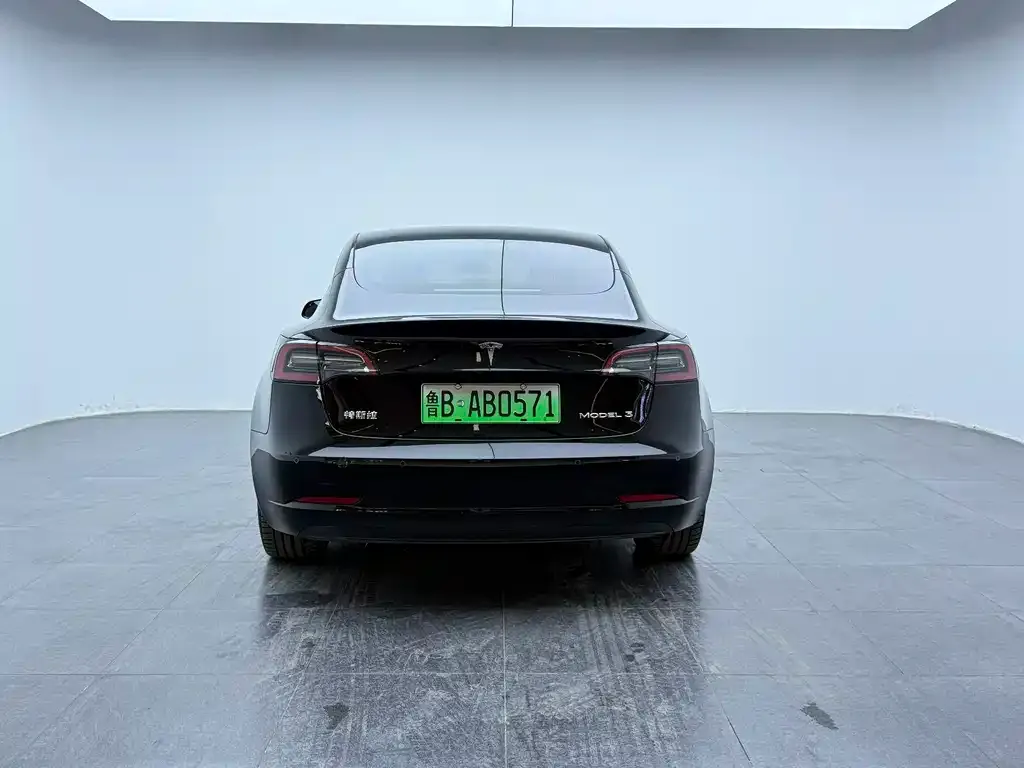 Tesla Model 3 2021 из CN, фото 2