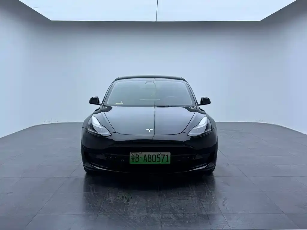 Tesla Model 3 2021 из CN, фото 4