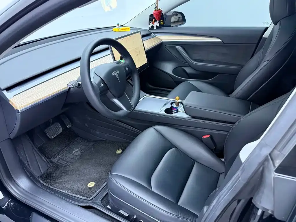 Tesla Model 3 2021 из CN, фото 10