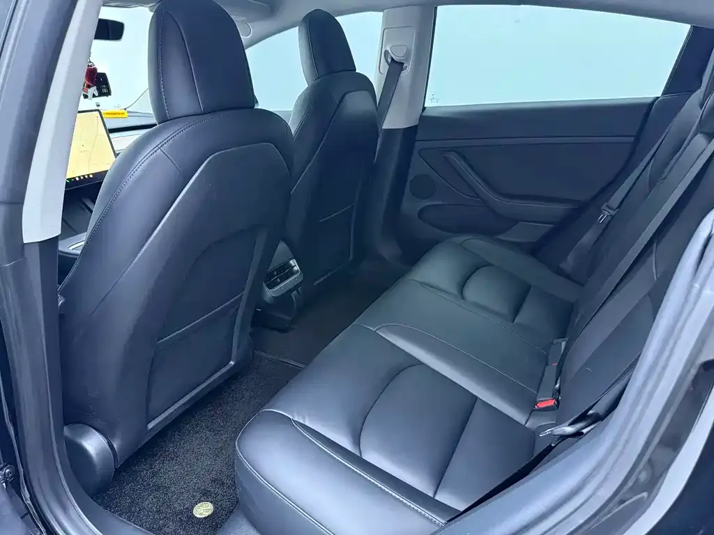 Tesla Model 3 2021 из CN, фото 9