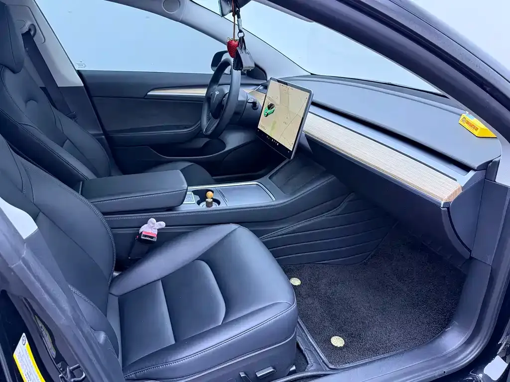 Tesla Model 3 2021 из CN, фото 7
