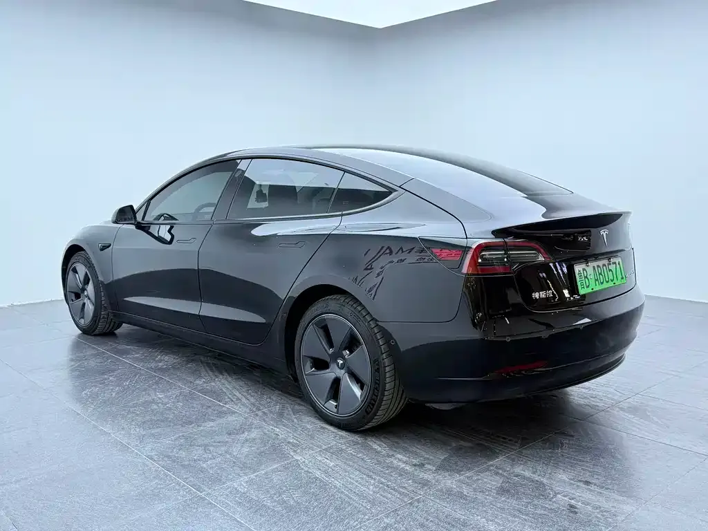 Tesla Model 3 2021 из CN, фото 6