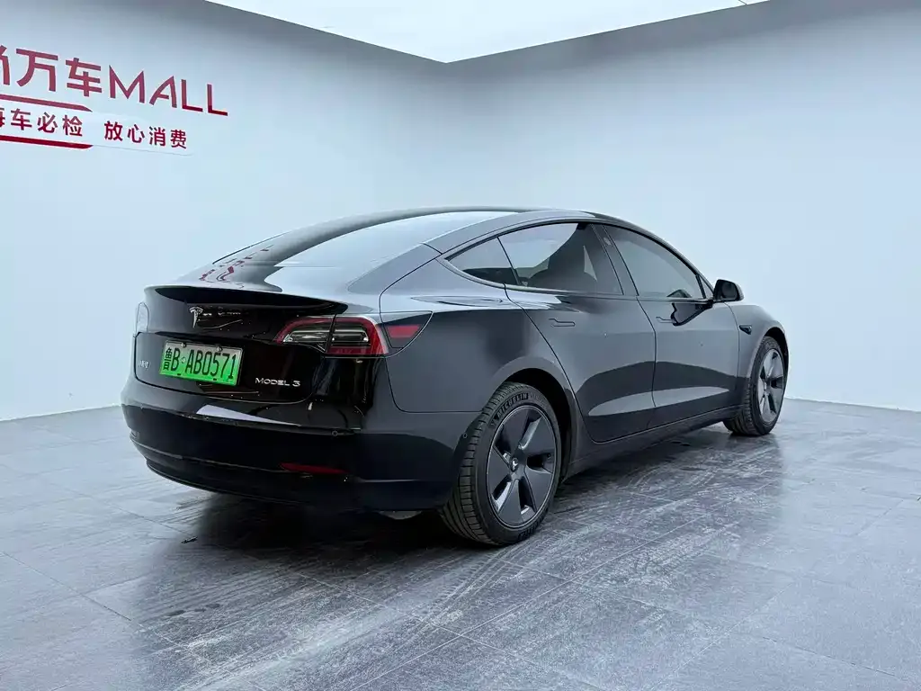 Tesla Model 3 2021 из CN, фото 5