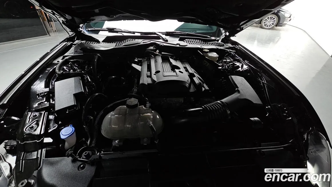 Ford Mustang 2023 из KR, фото 10