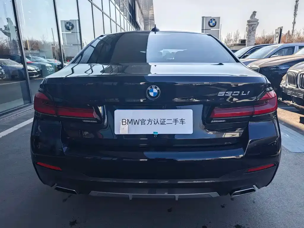 BMW 5 Series 2024 из CN, фото 9