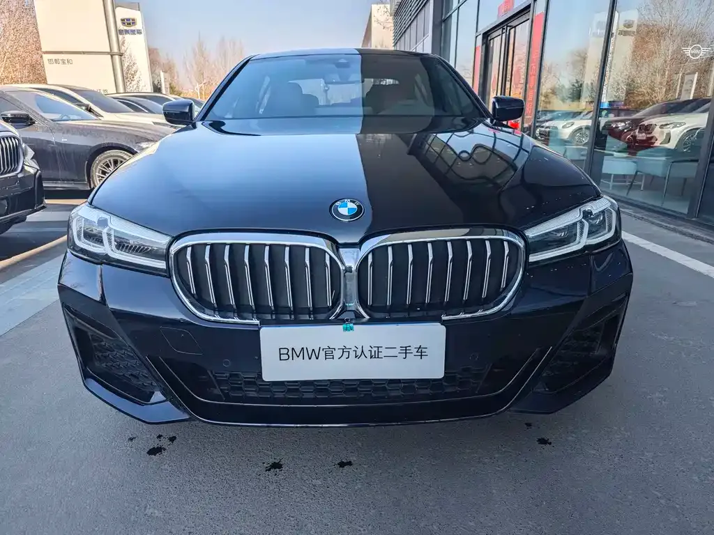 BMW 5 Series 2024 из CN, фото 10
