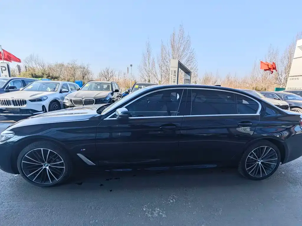 BMW 5 Series 2024 из CN, фото 8