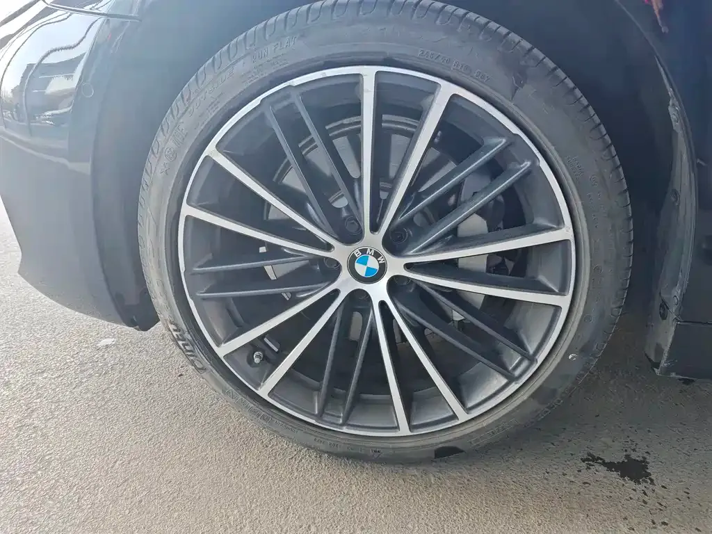 BMW 5 Series 2024 из CN, фото 5
