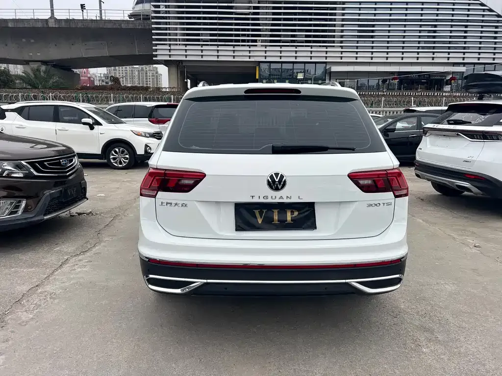 Volkswagen Tiguan L 2023 из CN, фото 8