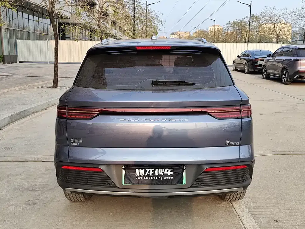 BYD Pro New Energy 2023 из CN, фото 7