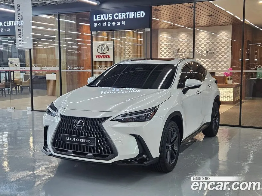 Lexus NX 2025 из KR, фото 1
