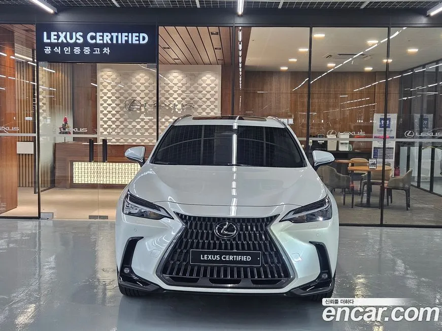 Lexus NX 2025 из KR, фото 4