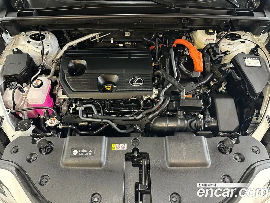 Lexus NX 2025 из KR, фото 8