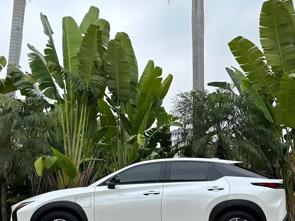 Lexus RZ 2023 из CN, фото 9