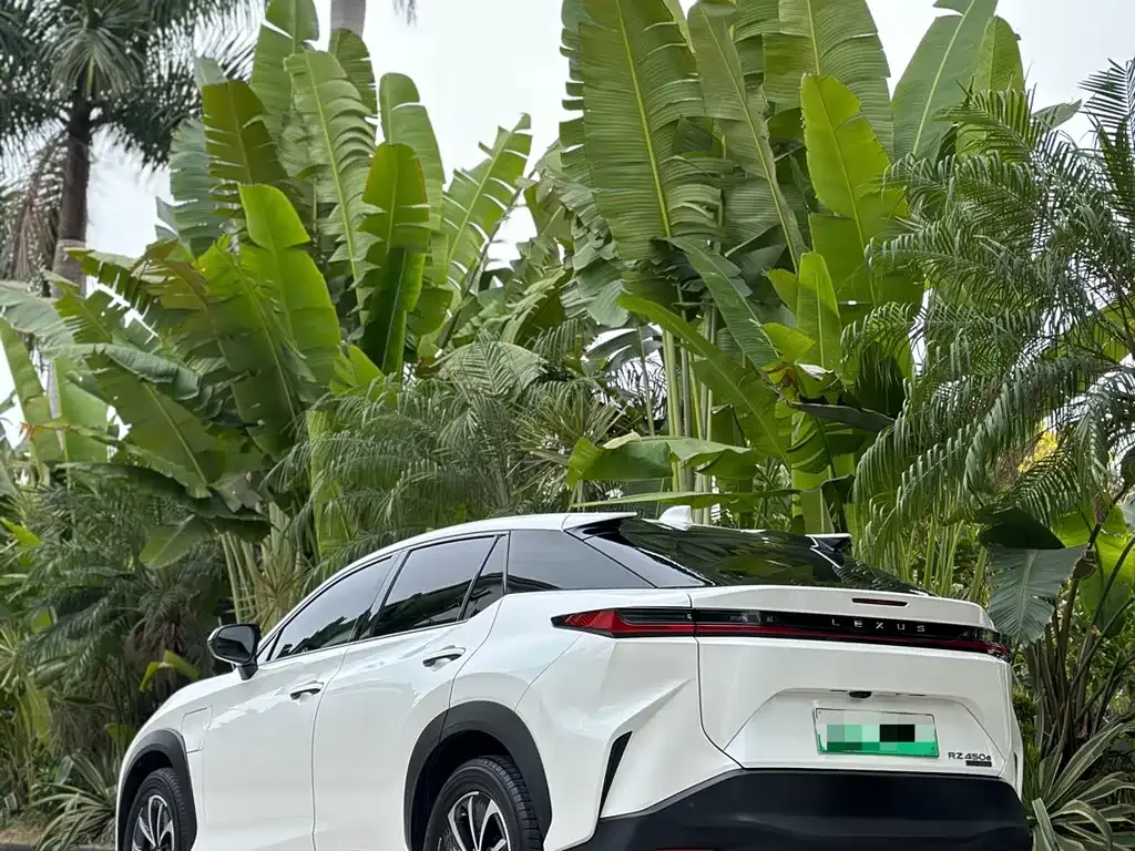 Lexus RZ 2023 из CN, фото 4