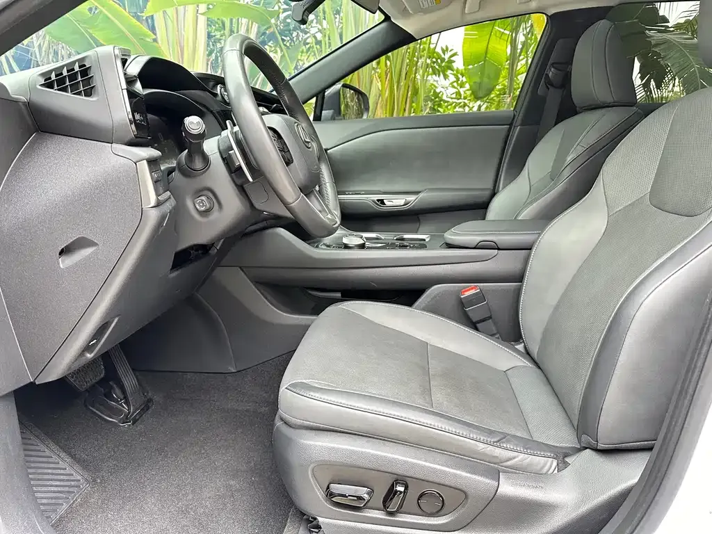 Lexus RZ 2023 из CN, фото 10