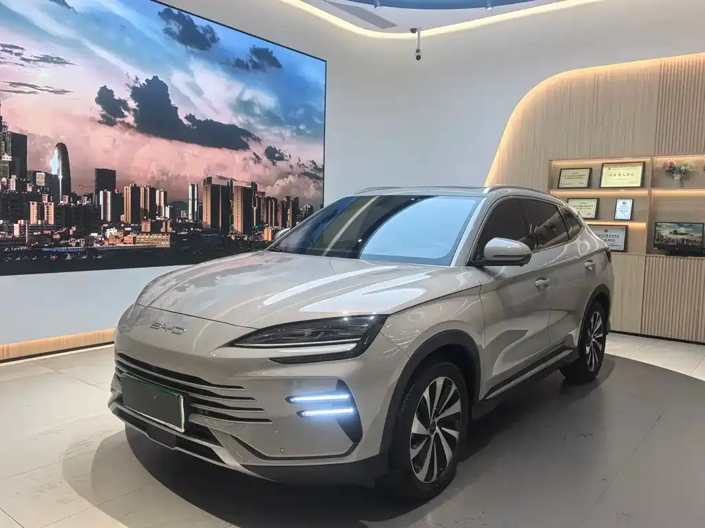 BYD PLUS New Energy 2024 из CN, фото 1