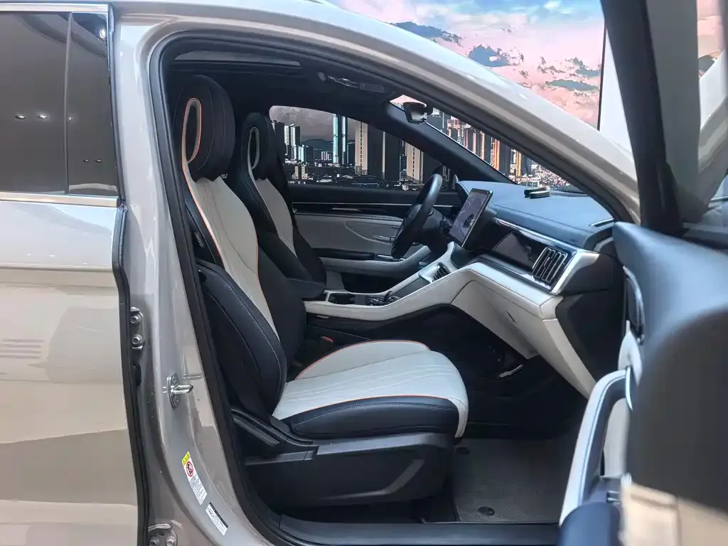 BYD PLUS New Energy 2024 из CN, фото 7