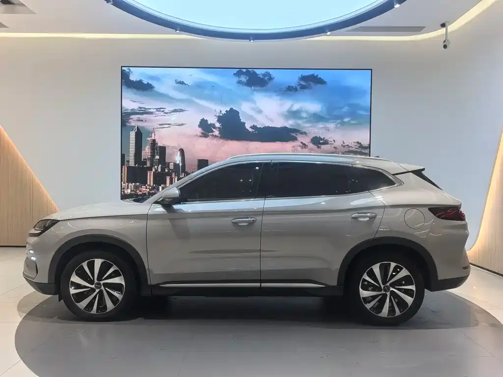 BYD PLUS New Energy 2024 из CN, фото 2