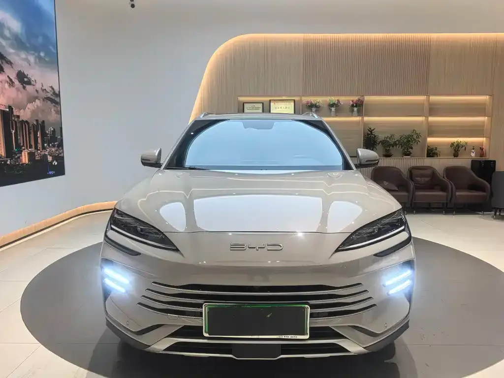 BYD PLUS New Energy 2024 из CN, фото 8
