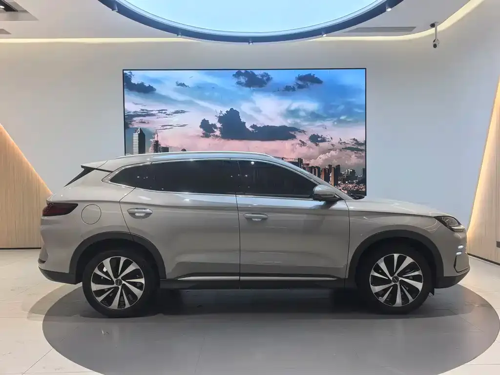 BYD PLUS New Energy 2024 из CN, фото 5