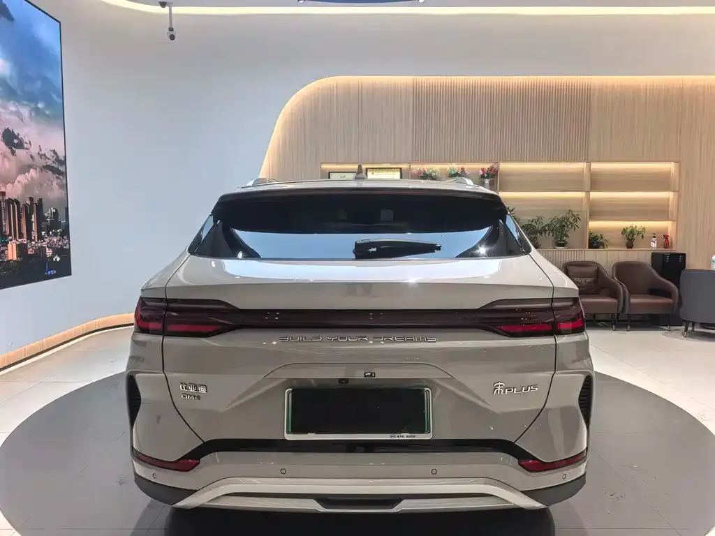 BYD PLUS New Energy 2024 из CN, фото 6