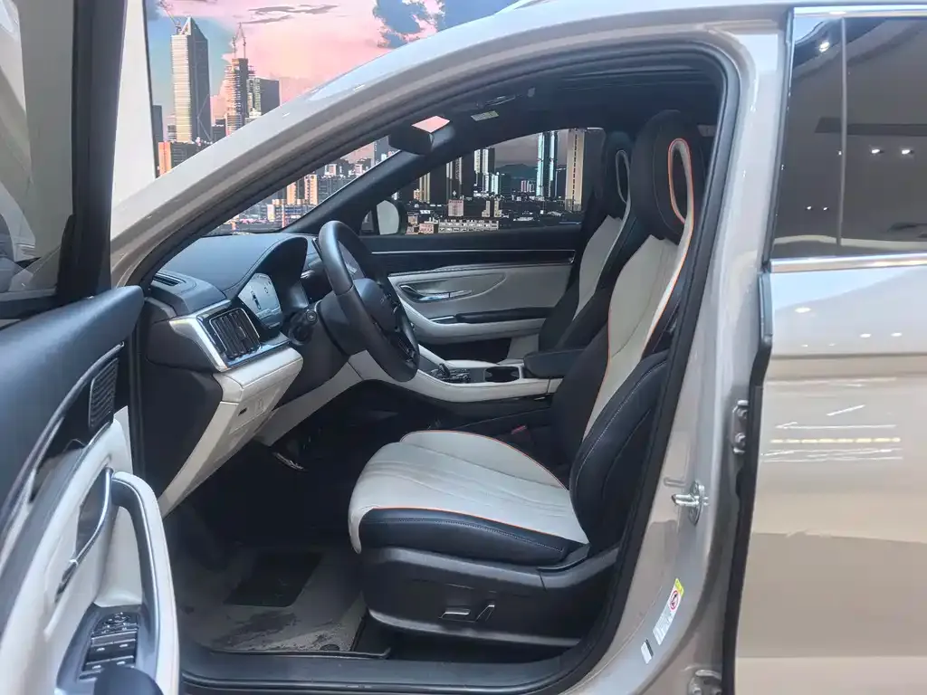 BYD PLUS New Energy 2024 из CN, фото 10