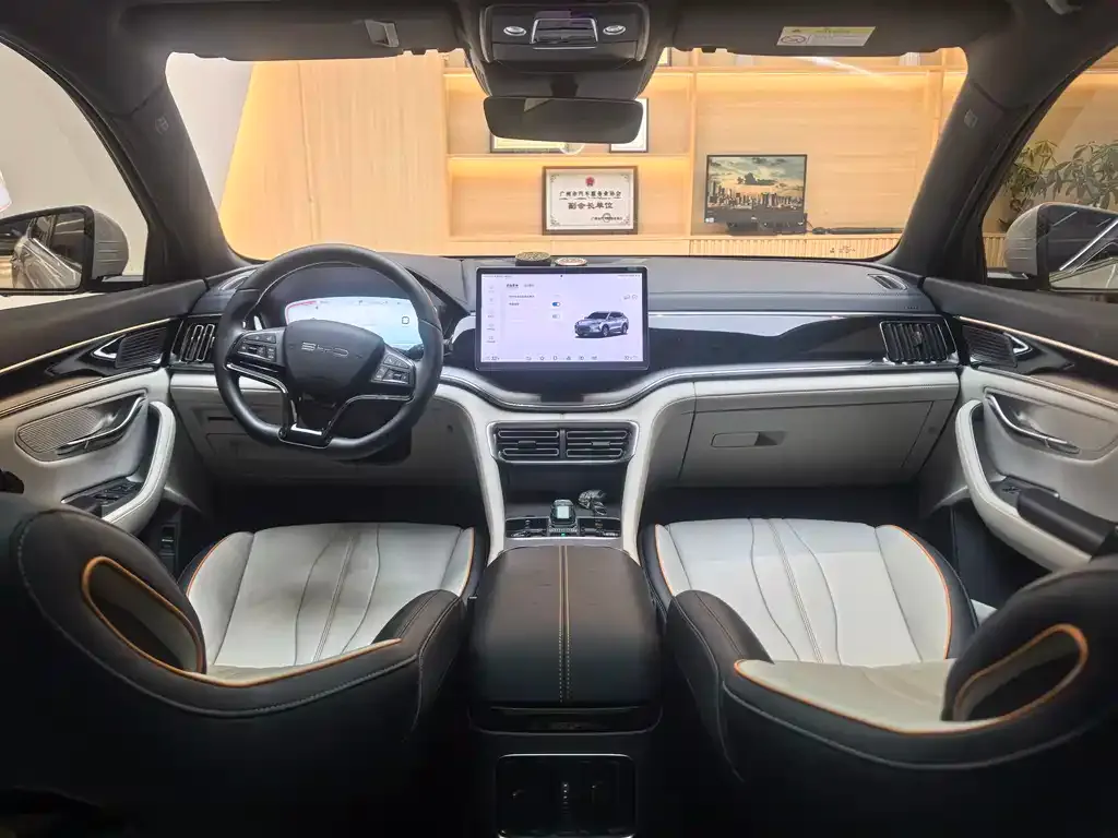 BYD PLUS New Energy 2024 из CN, фото 4