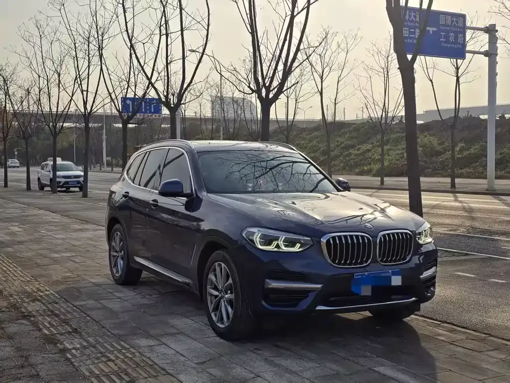 BMW X3 2022 из CN, фото 6