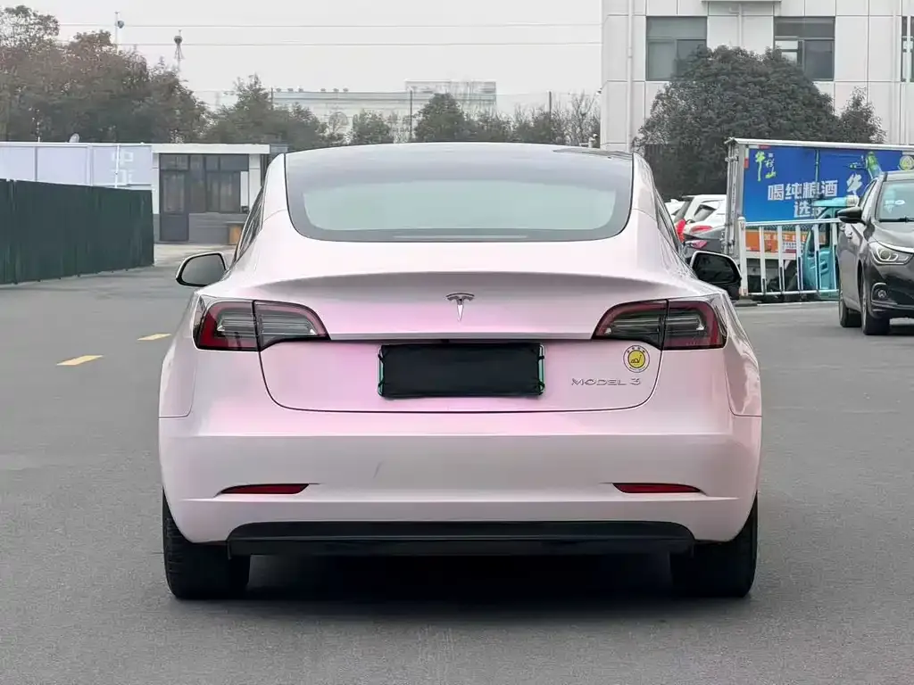Tesla Model 3 2021 из CN, фото 7
