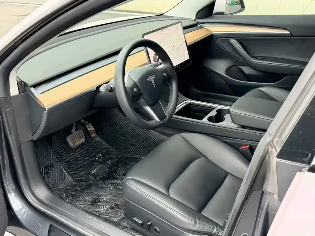 Tesla Model 3 2021 из CN, фото 5