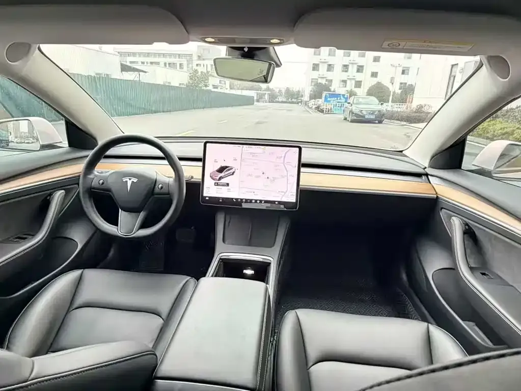 Tesla Model 3 2021 из CN, фото 6