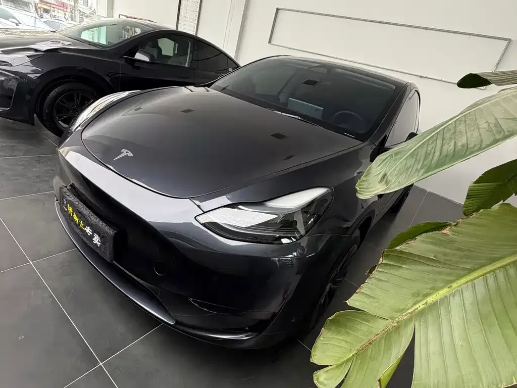 Tesla Model Y 2024 из CN, фото 1