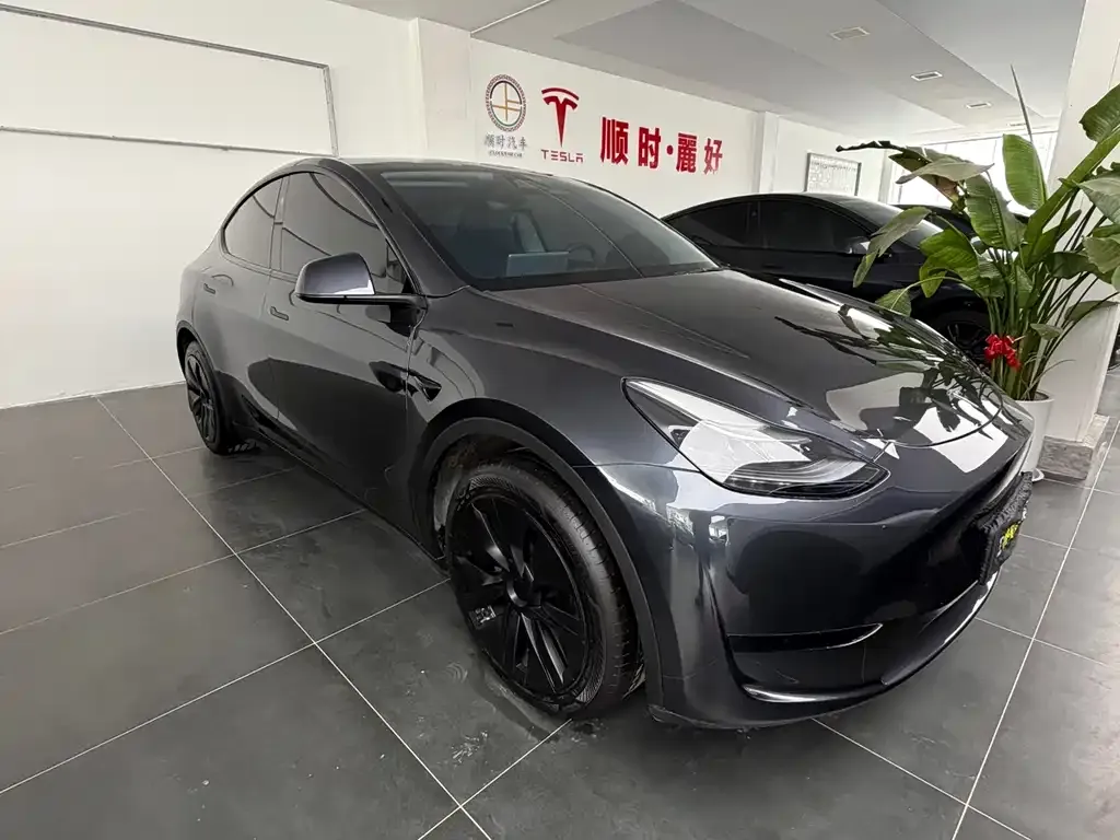 Tesla Model Y 2024 из CN, фото 8
