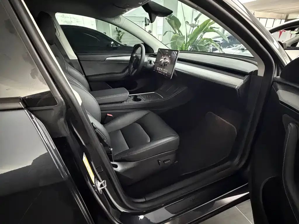 Tesla Model Y 2024 из CN, фото 6