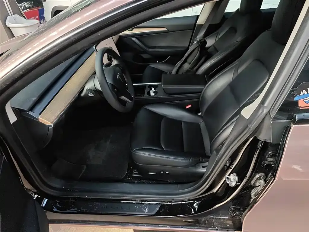 Tesla Model 3 2022 из CN, фото 8