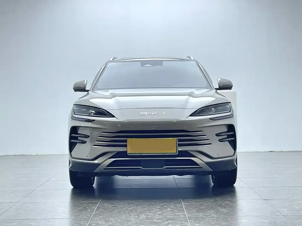 BYD PLUS New Energy 2024 из CN, фото 2