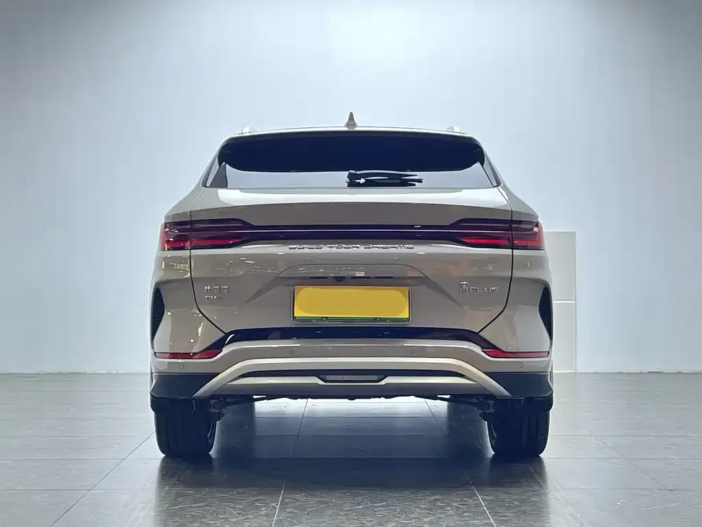 BYD PLUS New Energy 2024 из CN, фото 8